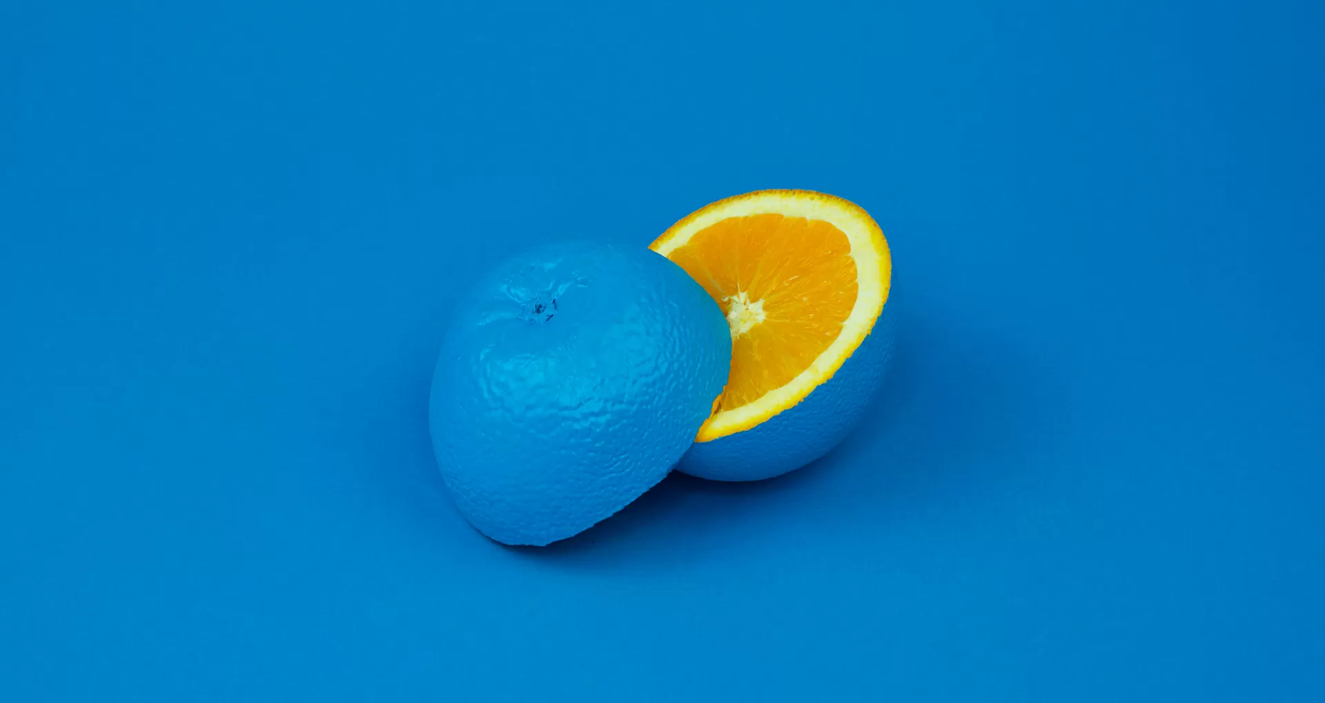 Web Ajans Scripti | Software Marketing ®